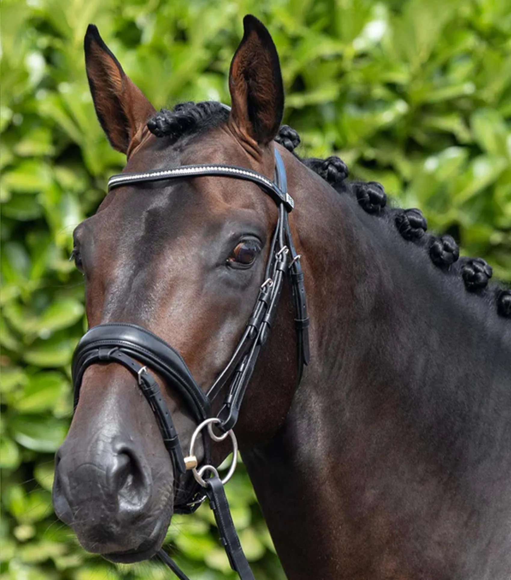 Stellazio Anatomical Snaffle Bridle with Flash Black