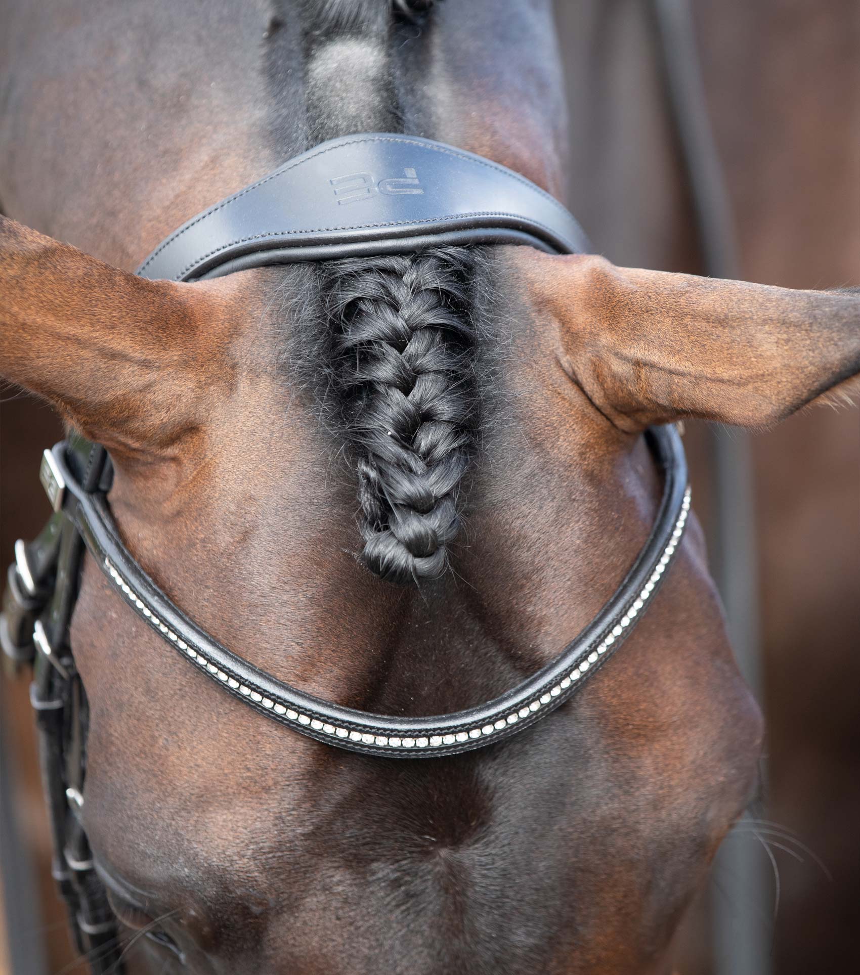 Stellazio Anatomical Snaffle Bridle with Flash Black - Image 2