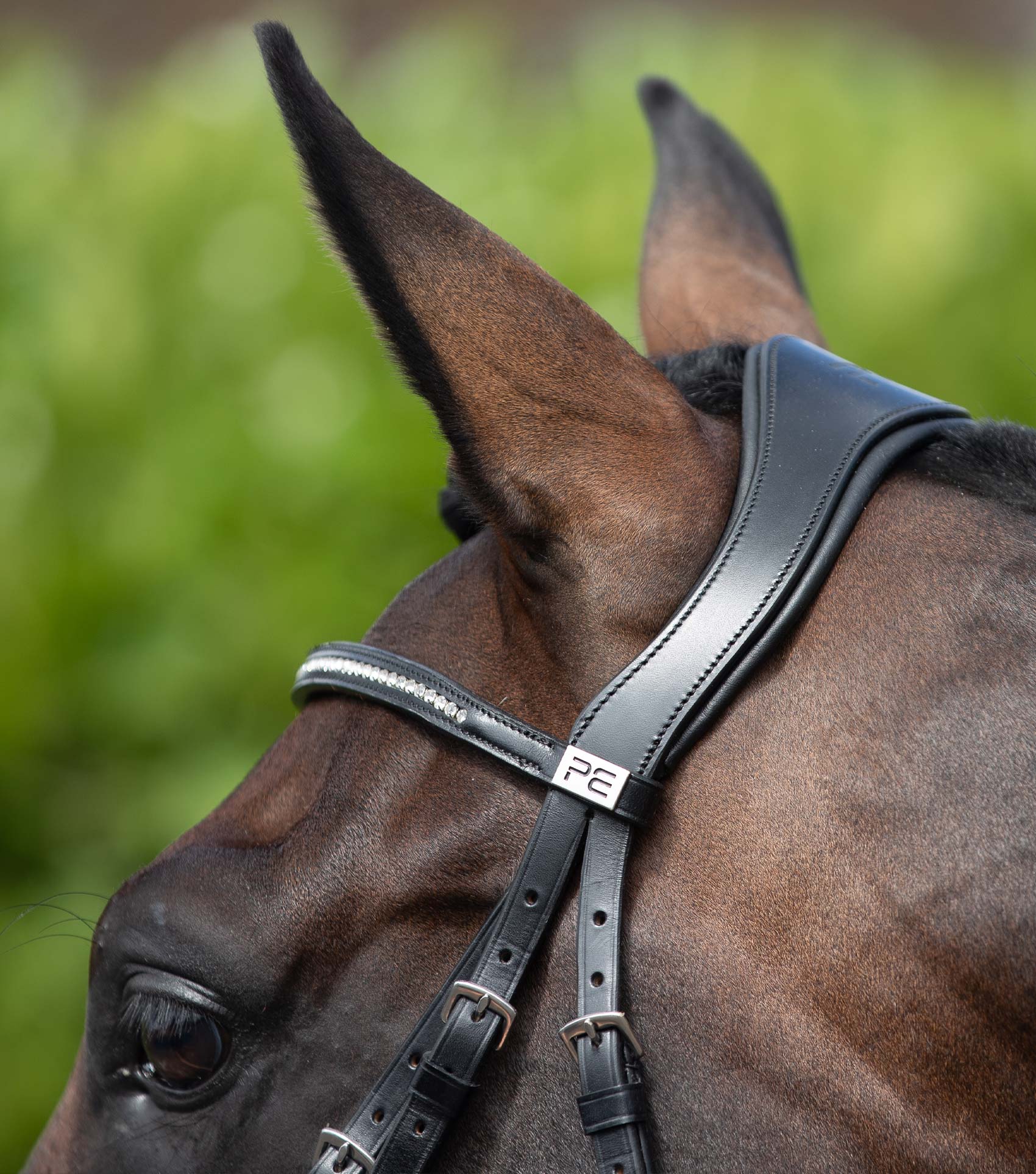 Stellazio Anatomical Snaffle Bridle with Flash Black - Image 3