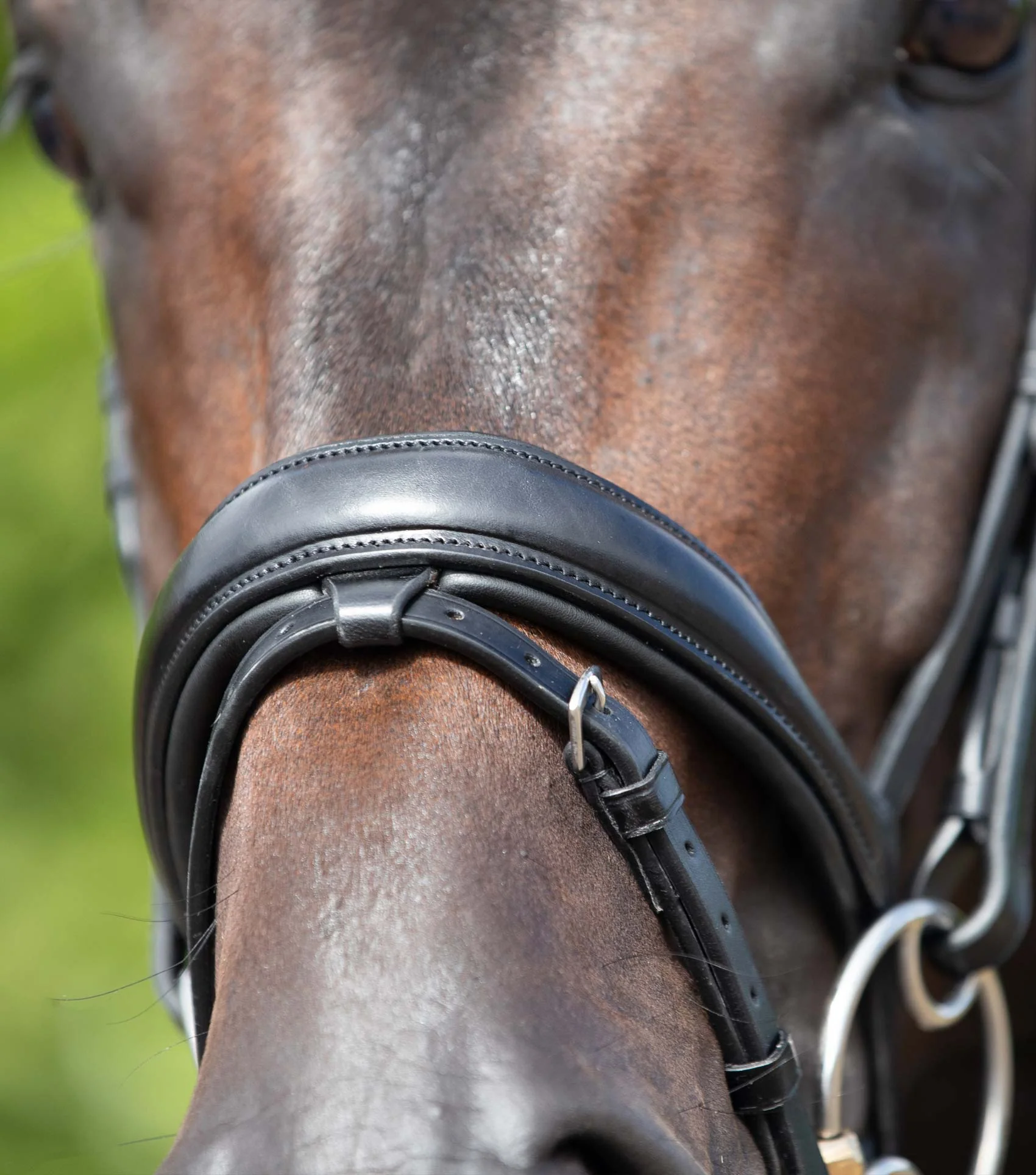 Stellazio Anatomical Snaffle Bridle with Flash Black - Image 4