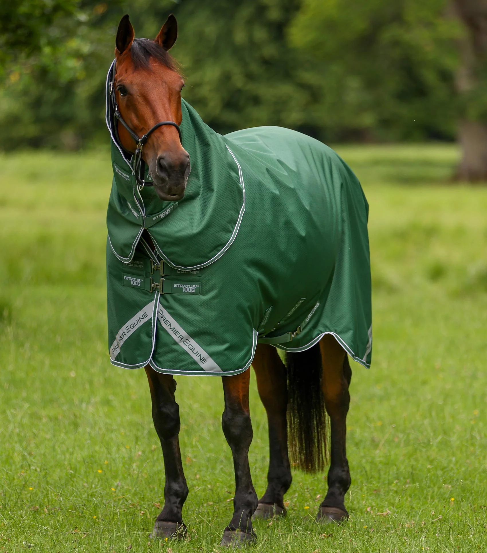 Stratus 600D Series 100g Turnout Rug with Classic Neck Cover Green