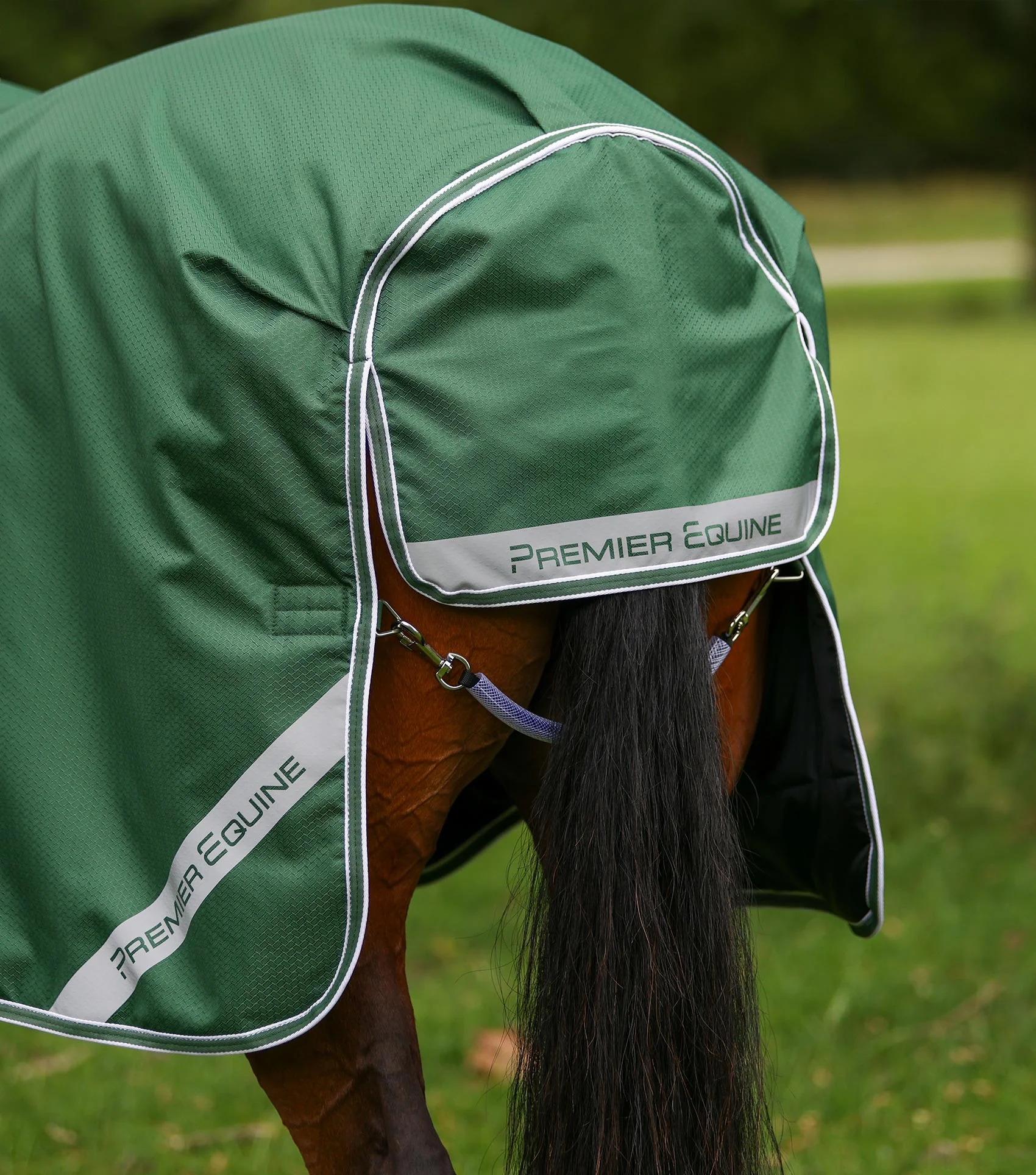 Stratus 600D Series 100g Turnout Rug with Classic Neck Cover Green - Image 6