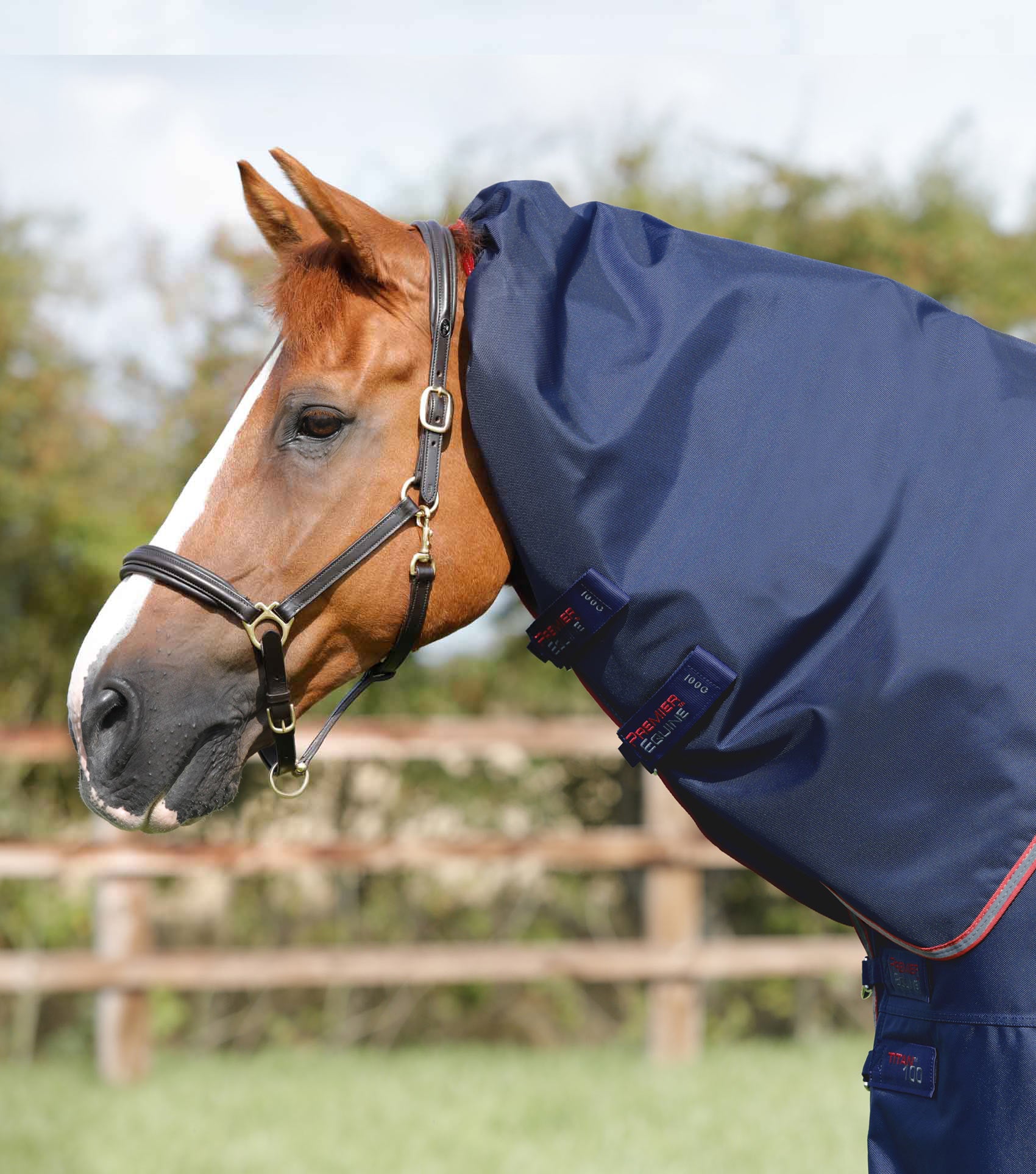 Titan 100g Turnout Rug with Snug-Fit Neck Cover Navy - Image 3