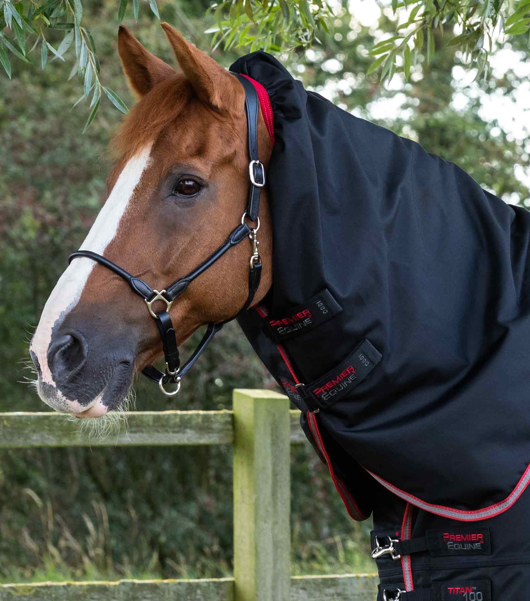 Titan 100g Turnout Rug with Snug-Fit Neck Cover Black - Image 2