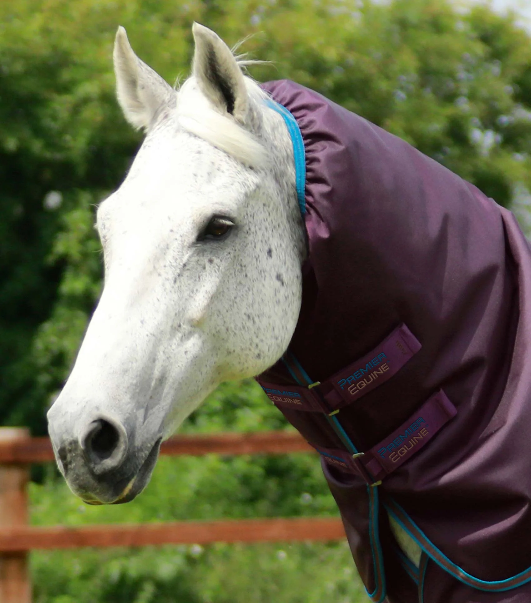 Titan 200g Turnout Rug with Snug-Fit Neck Cover Purple - Image 2