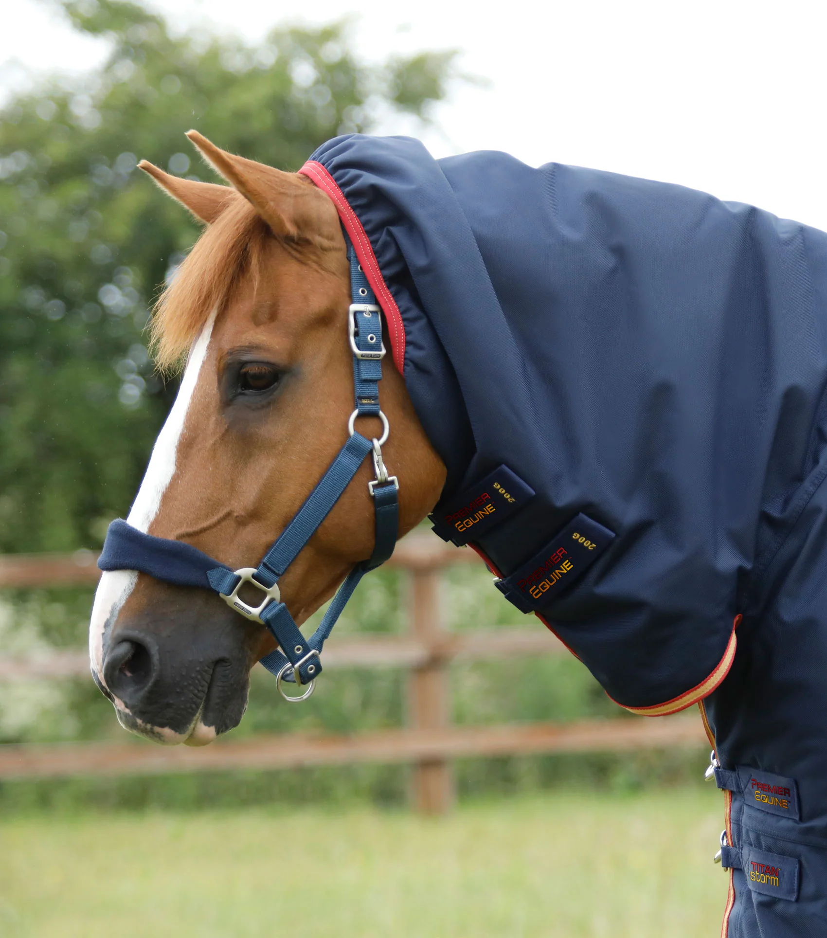 Titan Storm 450g Combo Turnout Rug with Snug-Fit Neck Navy - Image 2