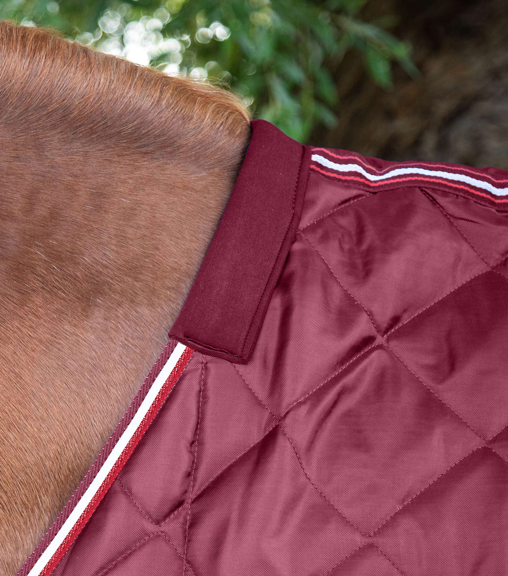Tuscan Stable Rug 100g Burgundy - Image 2