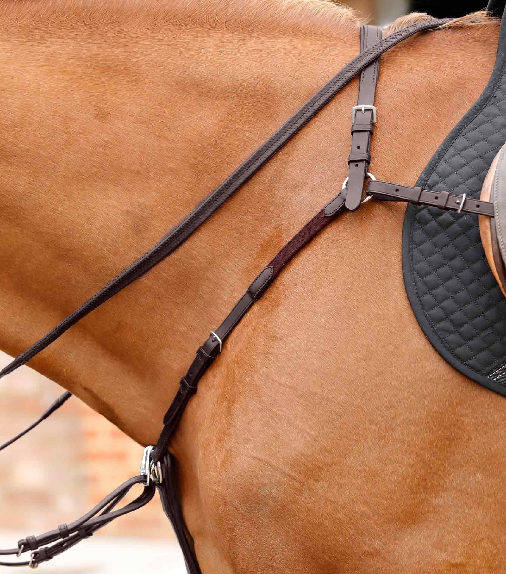 Valbrona Performance Breastplate Brown - Image 2