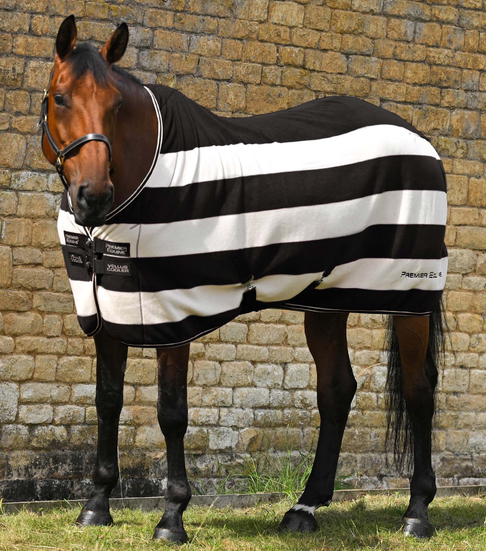 Vellus Horse Fleece Rug Black/White