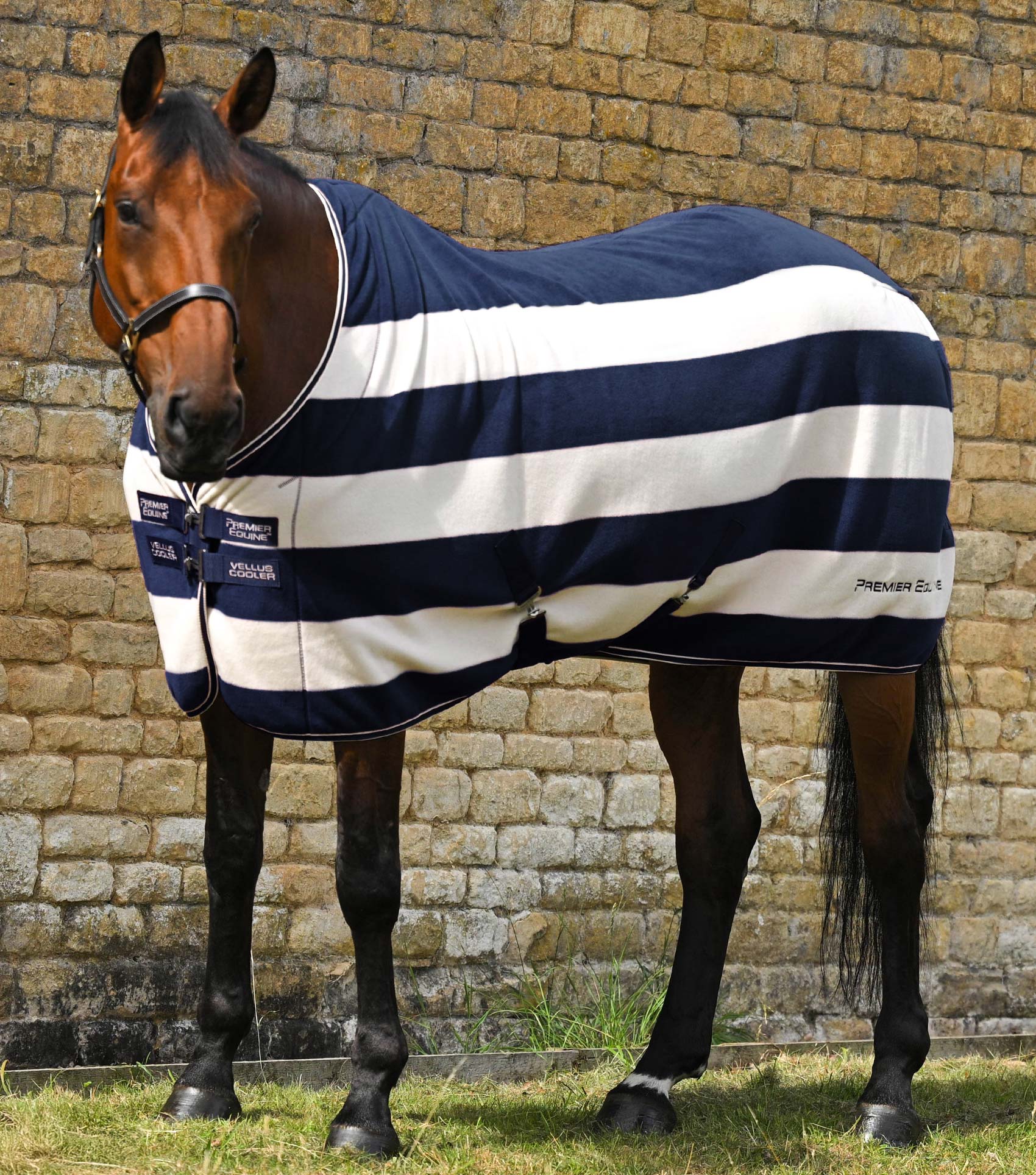 Vellus Horse Fleece Rug Navy/White