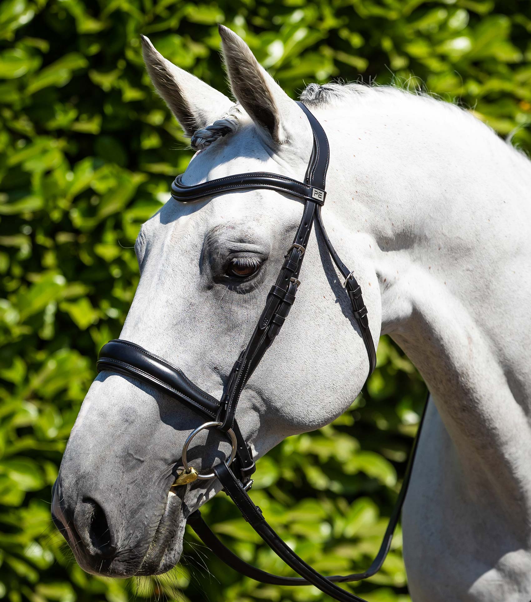Verdura Anatomical Snaffle Bridle Black
