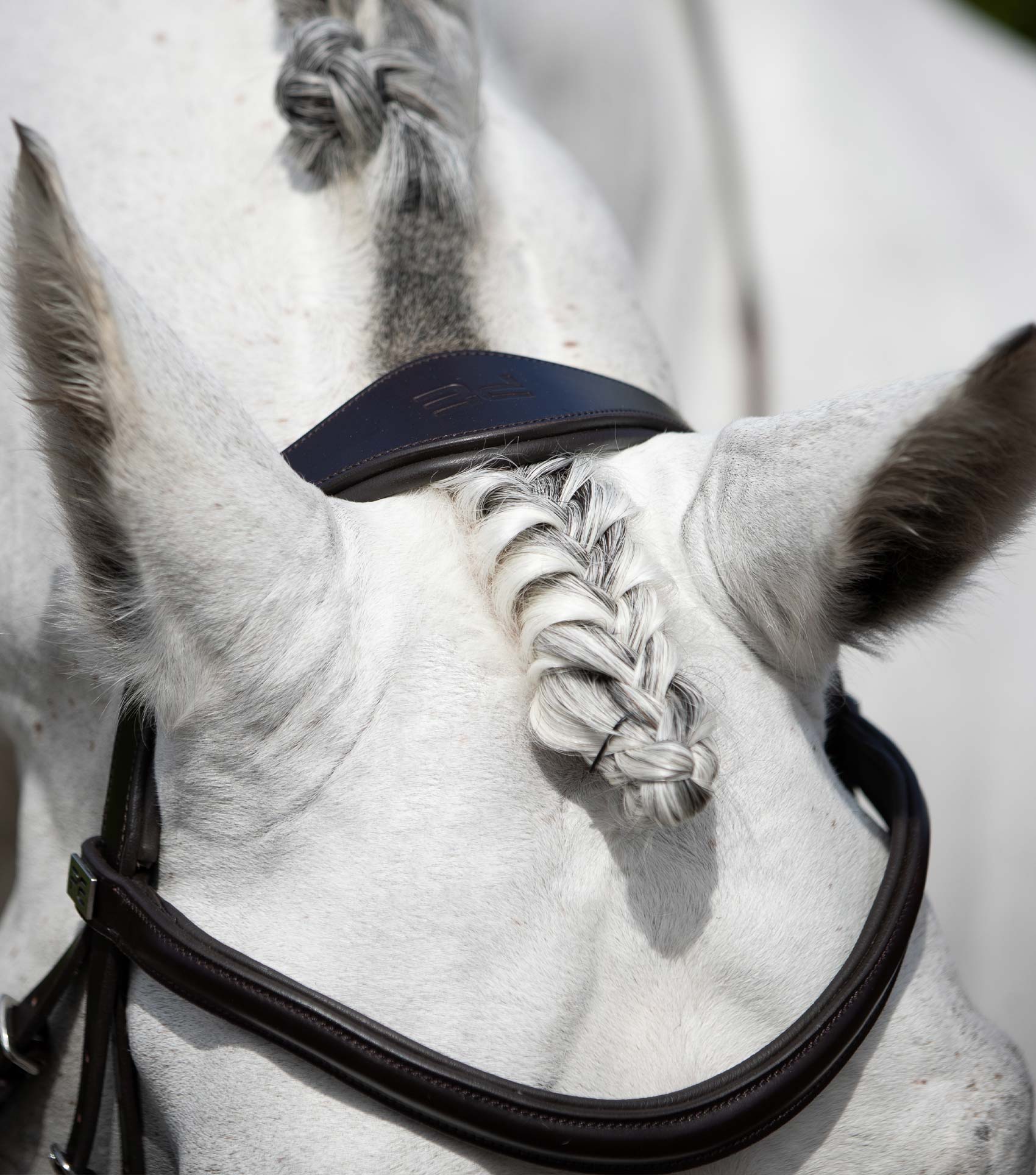 Verdura Anatomical Snaffle Bridle Black - Image 2