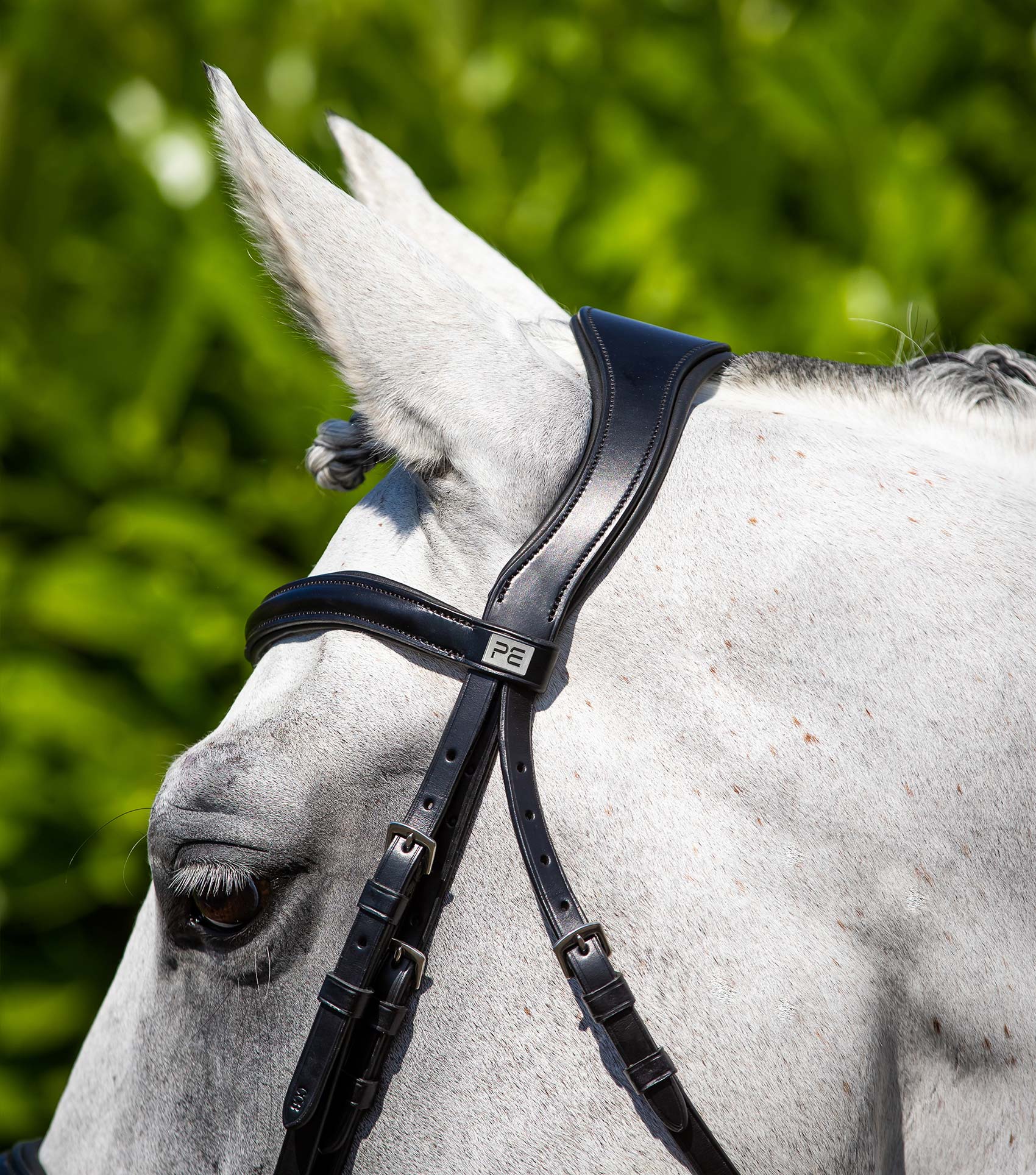 Verdura Anatomical Snaffle Bridle Black - Image 3
