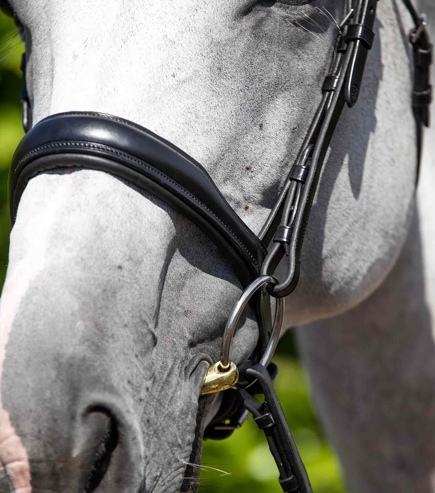 Verdura Anatomical Snaffle Bridle Black - Image 4